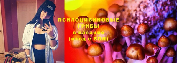 мяу мяу мука Баксан