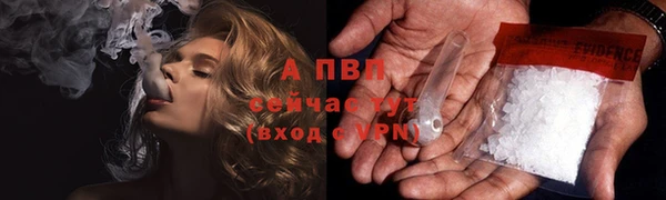 ECSTASY Балахна