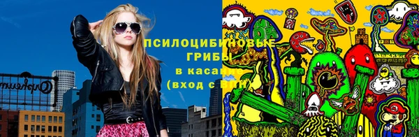 мяу мяу мука Баксан